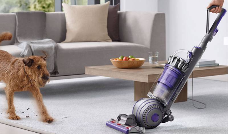Dyson Animal 2